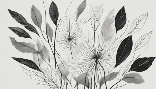 Create a striking image that features a minimalist black-and-white line art composition. The central element should be an abstract figure gracefully intertwined with nature, such as delicate leaves or flowers. The simplicity of the lines should evoke a sense of calm, while the negative spaces create a balanced harmony, inviting the viewer to explore each detail and feel a connection to the art.